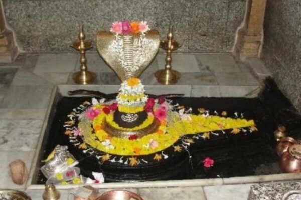 Mahashivratri in Ara: महाशिवरात्रि पर महादेव के मंदिरो में भक्तों की भीड़, कई मंदिर है ऐतिहासिक